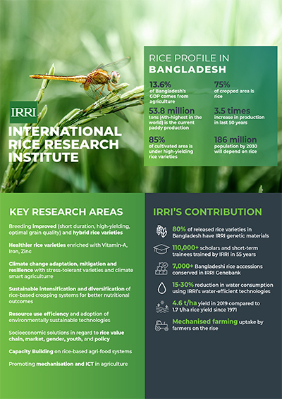 Bangladesh and IRRI 
