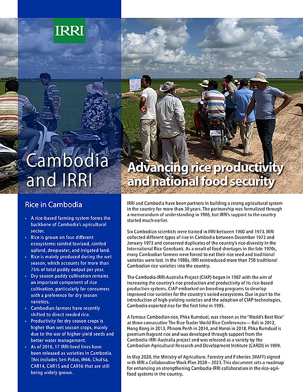 Cambodia and IRRI