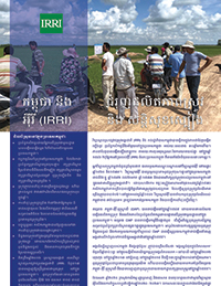 Cambodia and IRRI (Khmer)