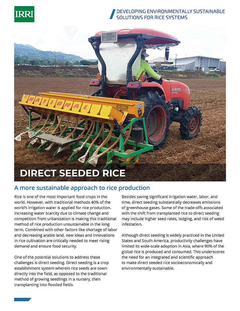 Direct Seeded Rice