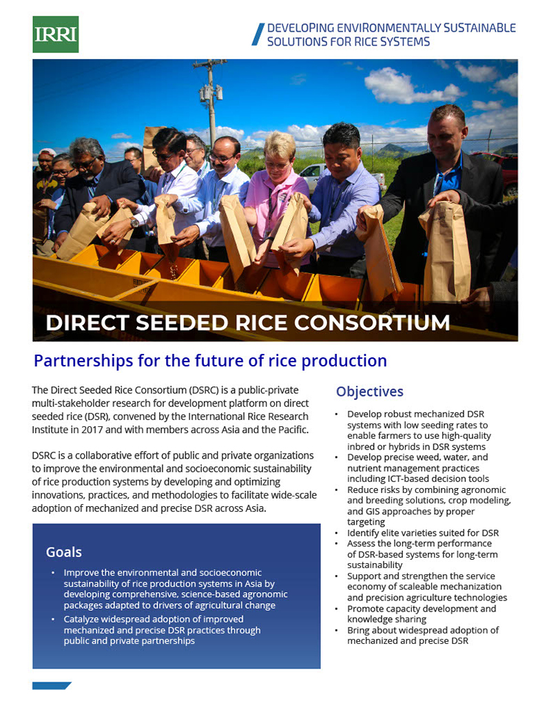 Direct Seeded Rice Consortium