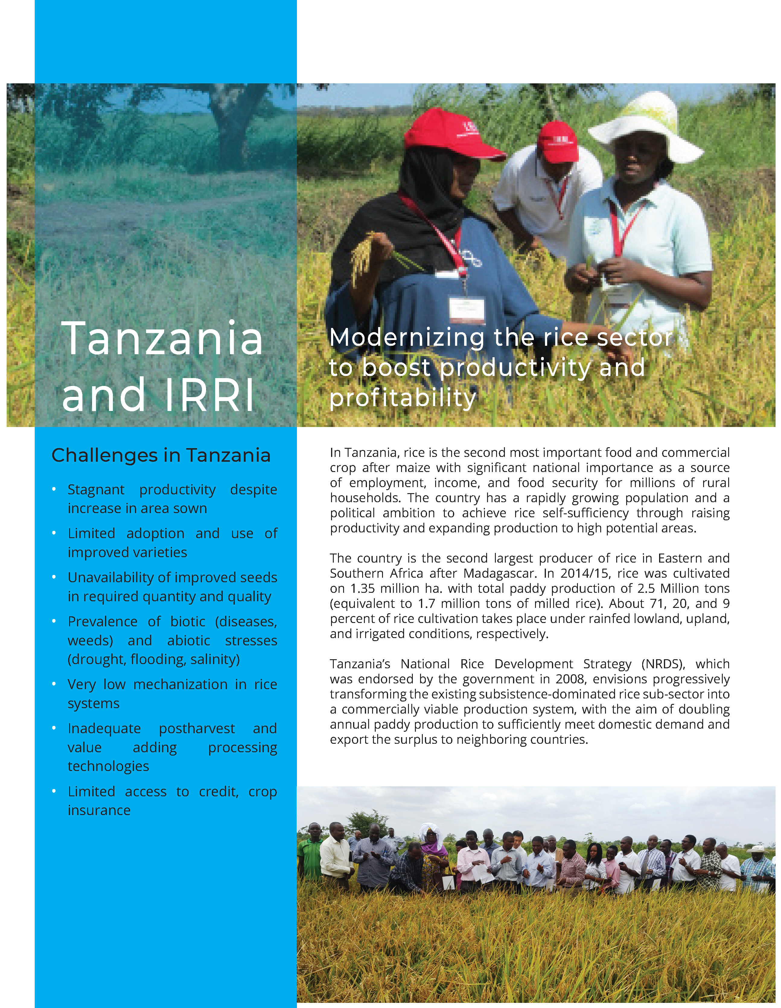 Tanzania and IRRI