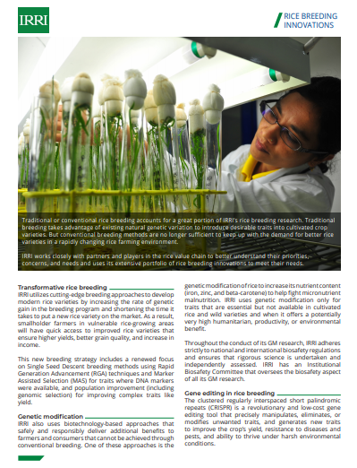 Rice Breeding Innovations