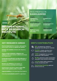 Bangladesh and IRRI 