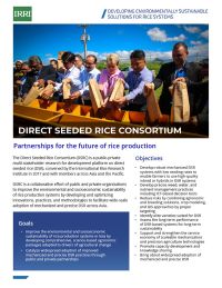 Direct Seeded Rice Consortium