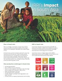 IRRI's Impact in South Asia