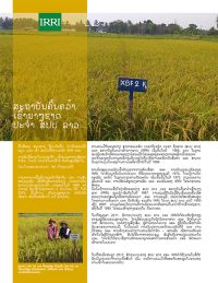 Lao PDR and IRRI (Laotian)
