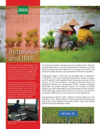 Indonesia and IRRI