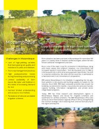 Mozambique and IRRI