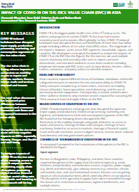 Policy Brief: Impact of COVID-19 on the Rice Value Chain (RVC) in Asia 