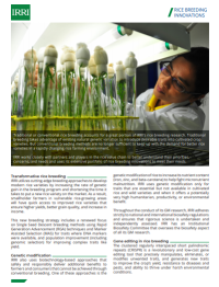 Rice Breeding Innovations
