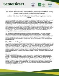 The inroads of direct-seeded rice with the low-input responsive PR-126 variety (A case study from Odisha’s smallholder ecosystem)