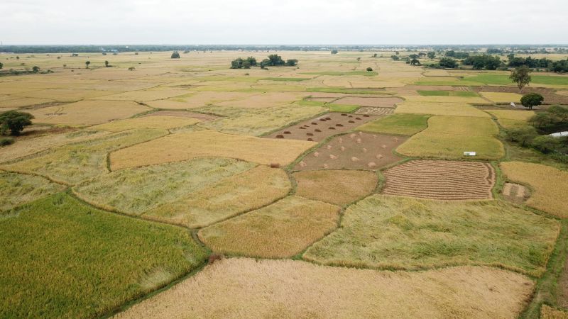 From pixels to production: How geospatial intelligence is driving sustainable intensification of rice-fallows in Odisha
