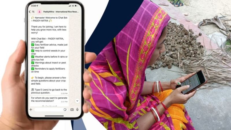Meet PaddyMitra, An AI Extension Agent