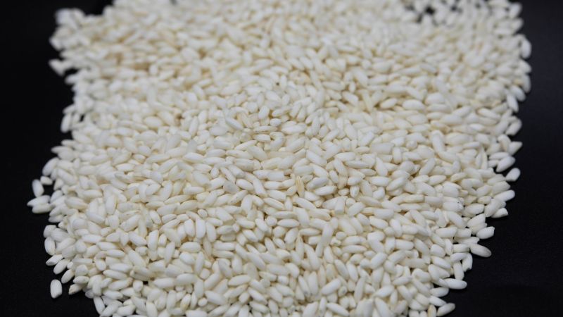 High-protein rice: A complementary pathway to better nutrition
