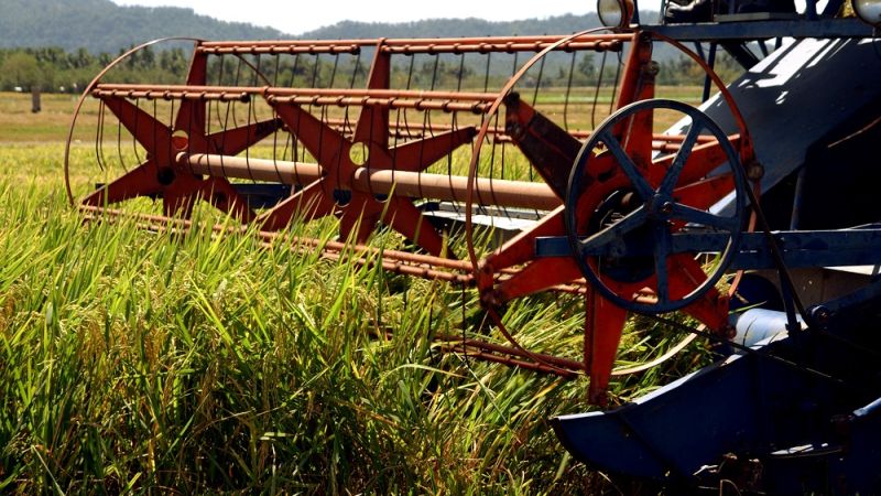 How research-for-development can make an impact on global agri-food systems